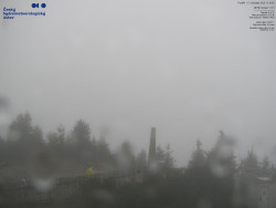 Pohled na jihozápad, Smrk