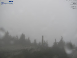 Pohled na jihozápad, Smrk