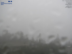 Pohled na jihozápad, Smrk