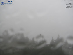 Pohled na jihozápad, Smrk