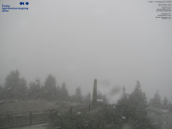 Pohled na jihozápad, Smrk