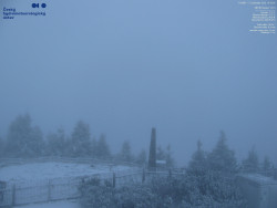 Pohled na jihozápad, Smrk