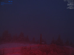 Pohled na jihozápad, Smrk