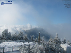 Pohled na jihozápad, Smrk