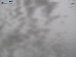 Pohled na jihozápad, Smrk