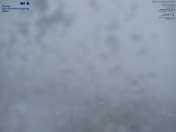 Pohled na jihozápad, Smrk