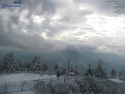 Pohled na jihozápad, Smrk