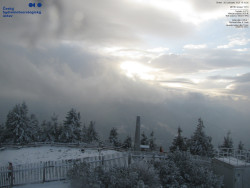 Pohled na jihozápad, Smrk