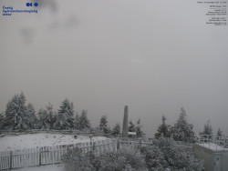 Pohled na jihozápad, Smrk