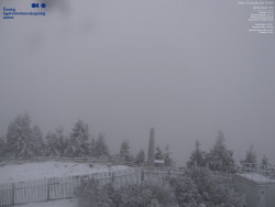 Pohled na jihozápad, Smrk