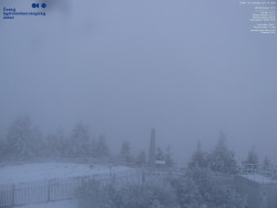 Pohled na jihozápad, Smrk