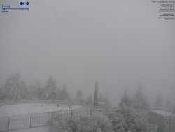 Pohled na jihozápad, Smrk