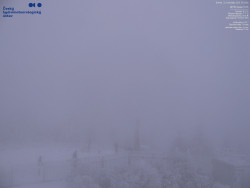 Pohled na jihozápad, Smrk