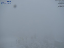 Pohled na jihozápad, Smrk