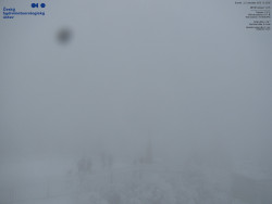 Pohled na jihozápad, Smrk