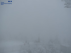 Pohled na jihozápad, Smrk