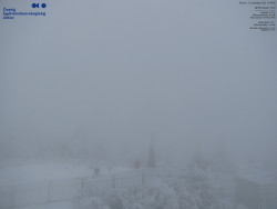 Pohled na jihozápad, Smrk