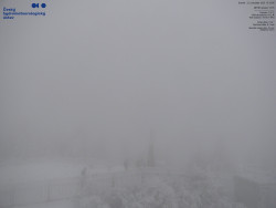 Pohled na jihozápad, Smrk