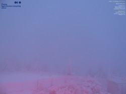 Pohled na jihozápad, Smrk