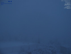 Pohled na jihozápad, Smrk