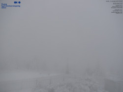 Pohled na jihozápad, Smrk