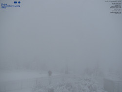 Pohled na jihozápad, Smrk