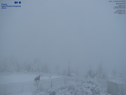 Pohled na jihozápad, Smrk