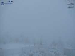 Pohled na jihozápad, Smrk