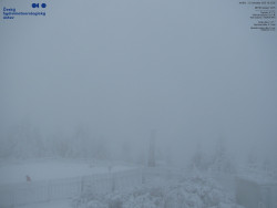 Pohled na jihozápad, Smrk