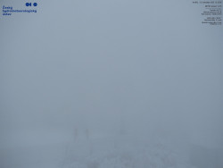 Pohled na jihozápad, Smrk