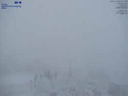 Pohled na jihozápad, Smrk