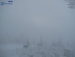 Pohled na jihozápad, Smrk