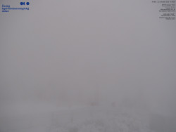 Pohled na jihozápad, Smrk