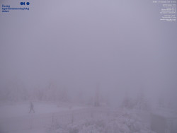 Pohled na jihozápad, Smrk