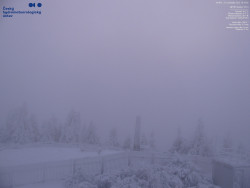 Pohled na jihozápad, Smrk