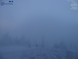 Pohled na jihozápad, Smrk