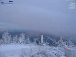 Pohled na jihozápad, Smrk