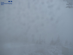 Pohled na jihozápad, Smrk