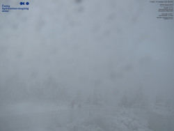 Pohled na jihozápad, Smrk