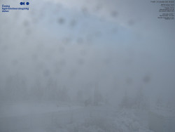 Pohled na jihozápad, Smrk