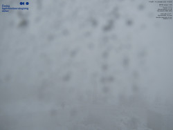 Pohled na jihozápad, Smrk