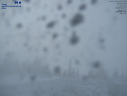 Pohled na jihozápad, Smrk