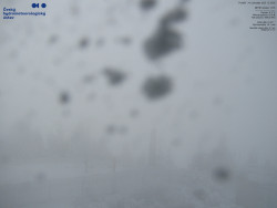 Pohled na jihozápad, Smrk