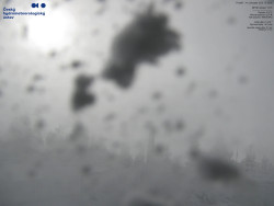 Pohled na jihozápad, Smrk