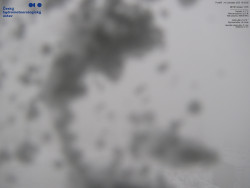 Pohled na jihozápad, Smrk