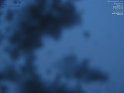 Pohled na jihozápad, Smrk