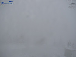 Pohled na jihozápad, Smrk