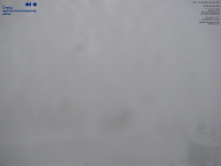 Pohled na jihozápad, Smrk