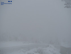 Pohled na jihozápad, Smrk