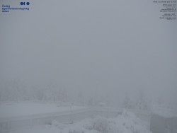 Pohled na jihozápad, Smrk